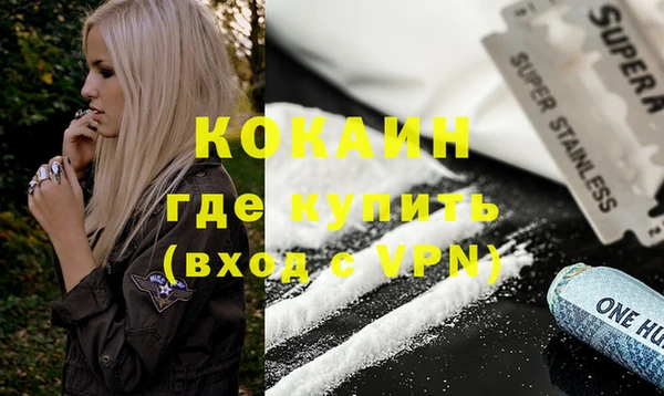 стафф Богородск