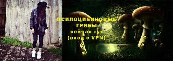 не бодяженный Богданович