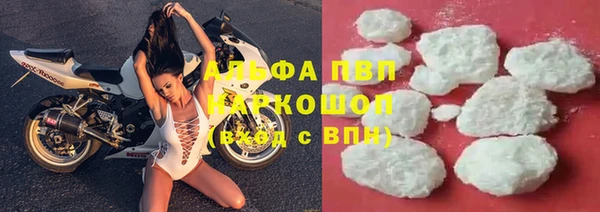 стафф Богородск