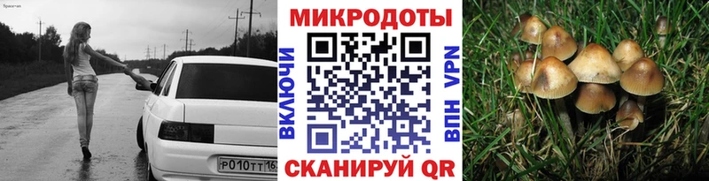 где купить наркоту  Калининец  Галлюциногенные грибы GOLDEN TEACHER 